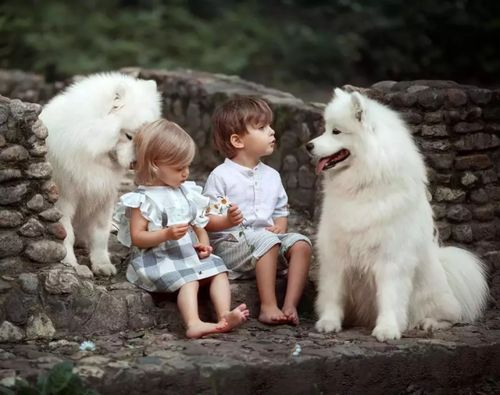 养一只宠物,对孩子的成长教育帮助有多大