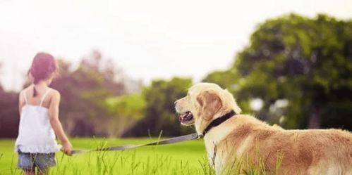 深圳优宠智能 谈 宠 色变,该不该让孩子养宠物