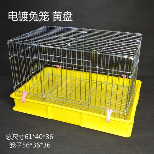 从龙猫到荷兰猪 如何为你的小宠挑选合适的特大号饲养笼